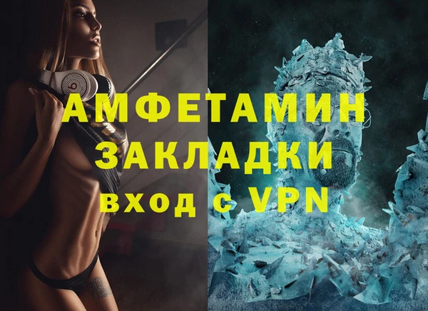хмурый Белокуриха