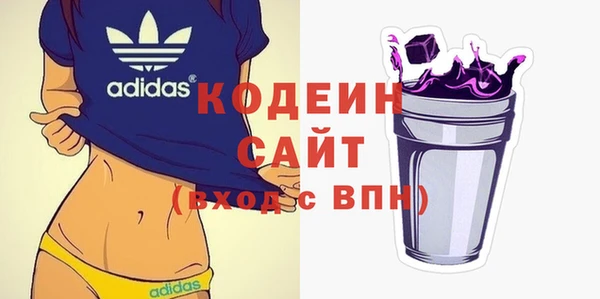 хмурый Белокуриха
