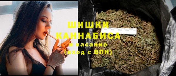 хмурый Белокуриха