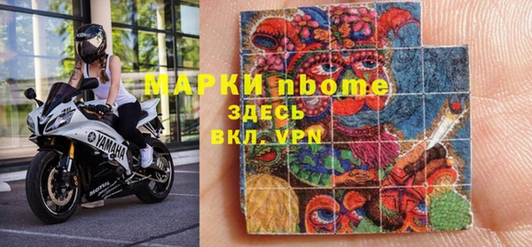 хмурый Белокуриха