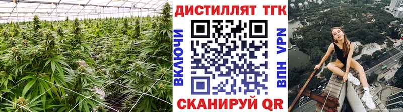ТГК Wax  Кубинка 