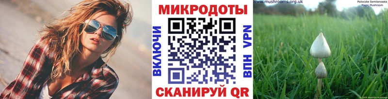 Псилоцибиновые грибы прущие грибы  blacksprut сайт  Кубинка 