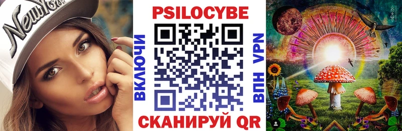 Галлюциногенные грибы Psilocybine cubensis Кубинка